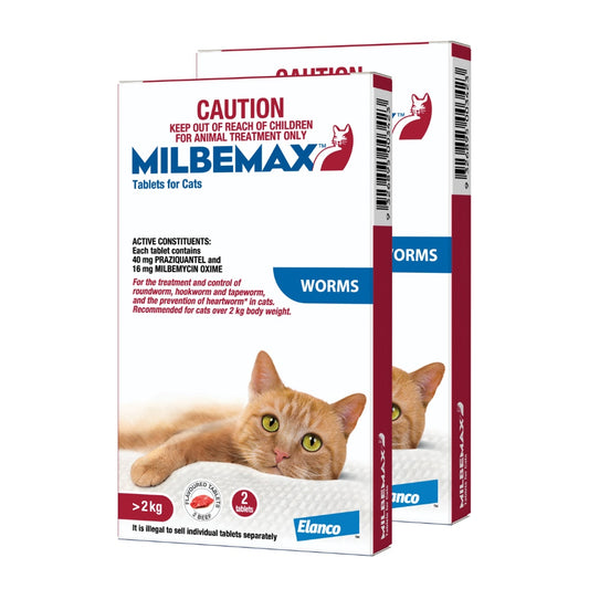Milbemax Allwormer >2kg Cat
