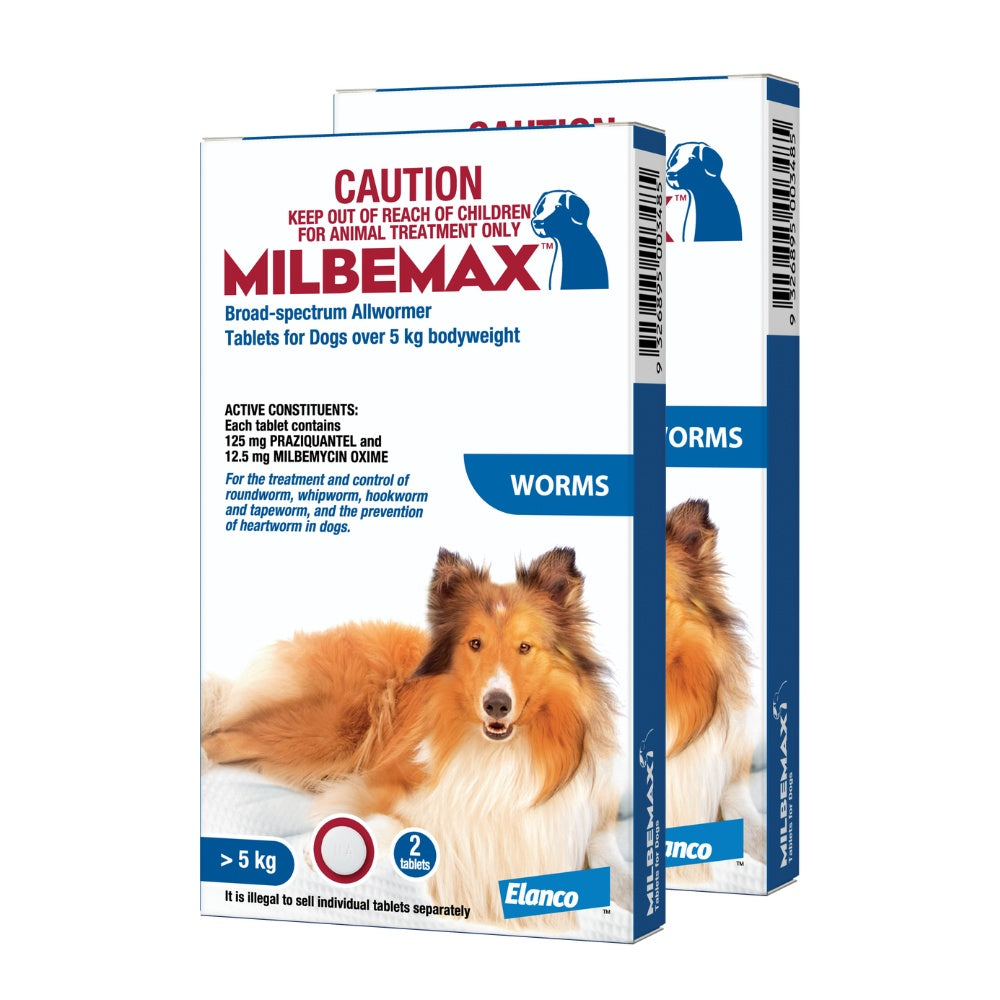 Milbemax Allwormer >5kg Dog