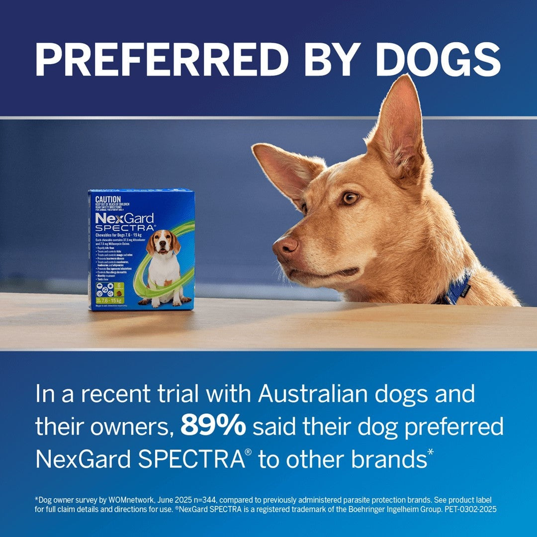 NexGard Spectra Small Breed 3.6-7.5kg Flea, Tick & Worming Dog Chews