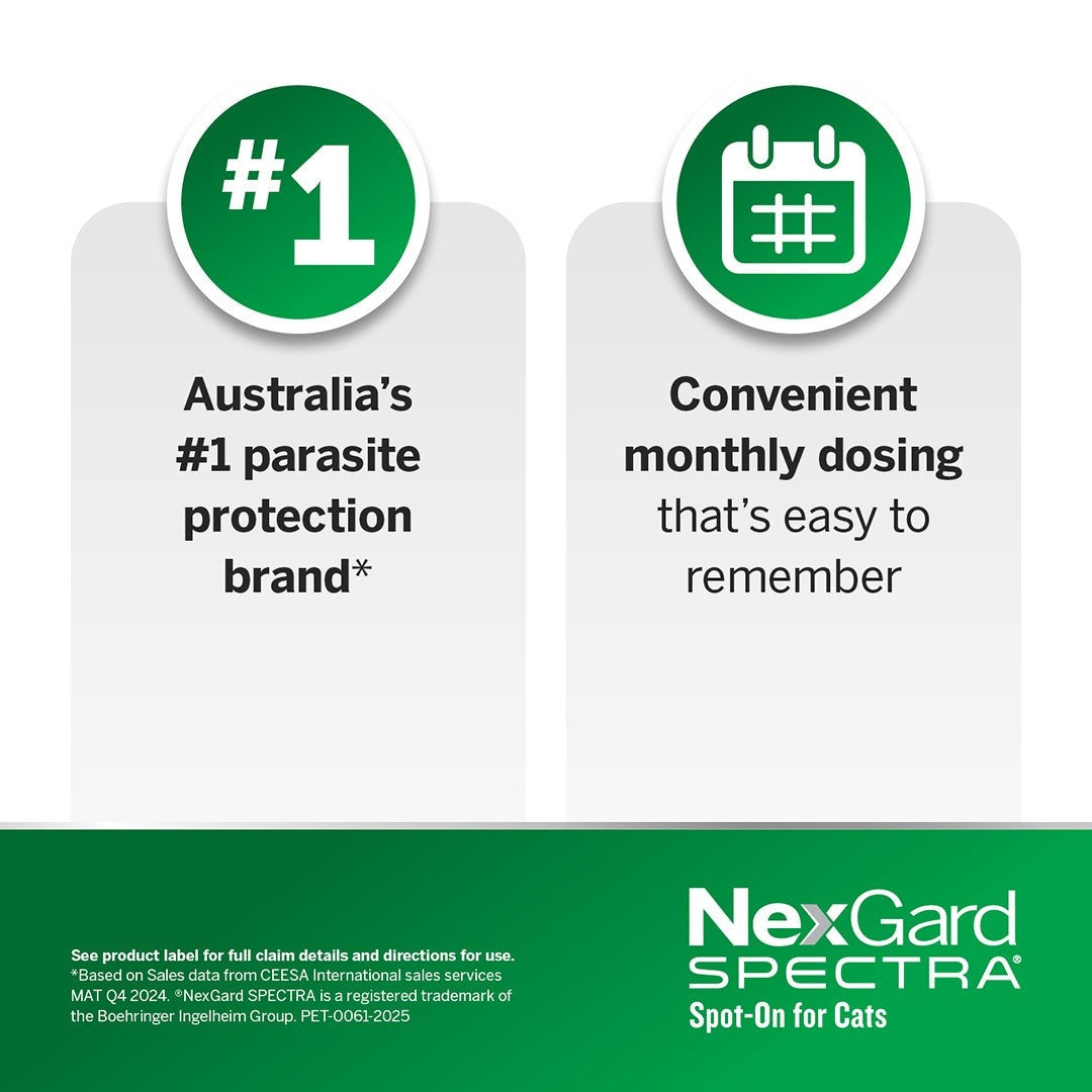 NexGard Spectra Spot-On for Cats & Kittens 0.8-2.4kg