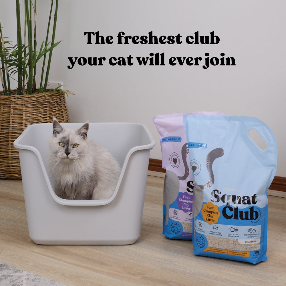 Squat Club Fast Clumping Clay Cat Litter