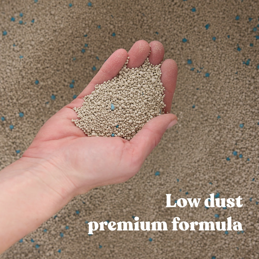 Squat Club Fast Clumping Clay Cat Litter