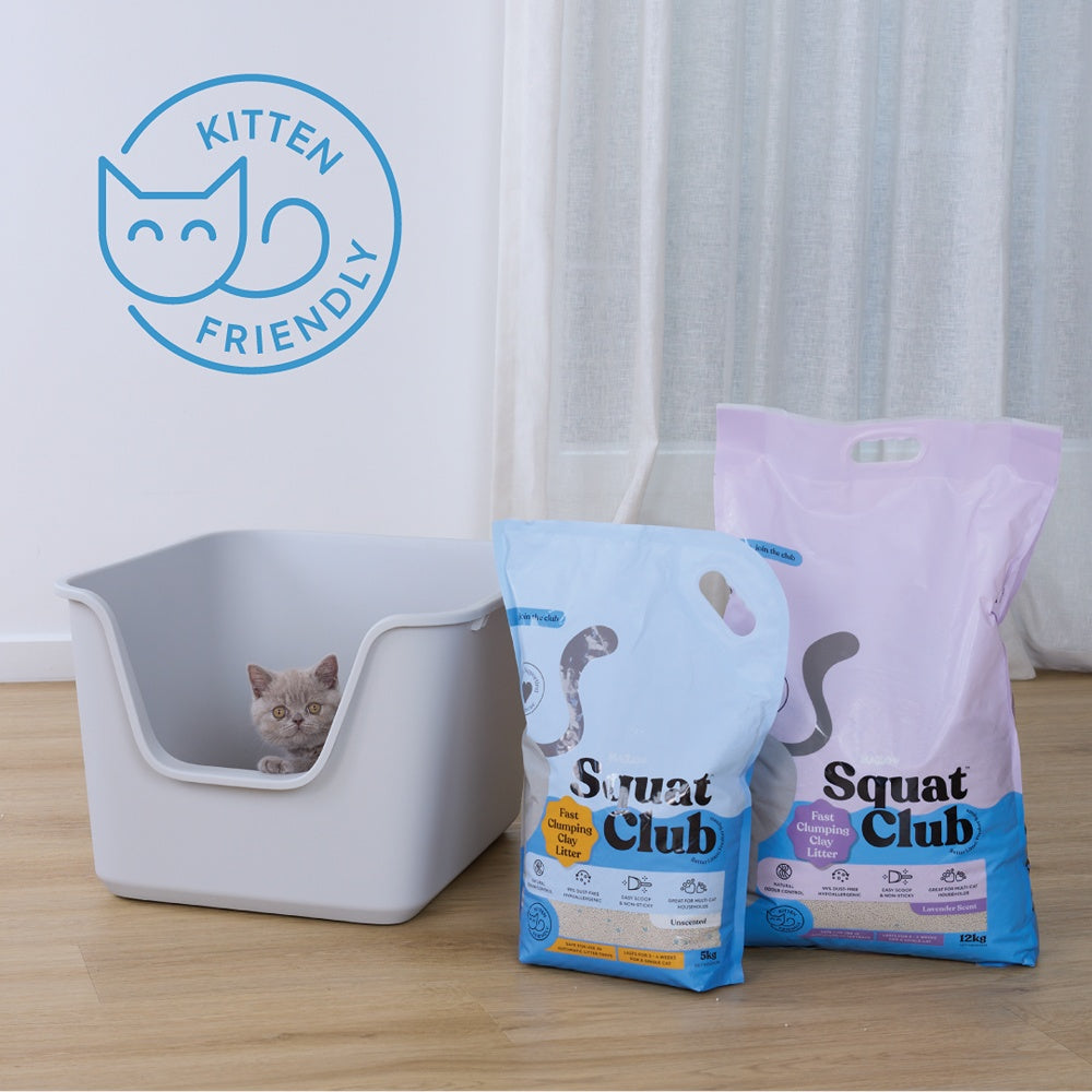 Squat Club Fast Clumping Lavender Scented Clay Cat Litter