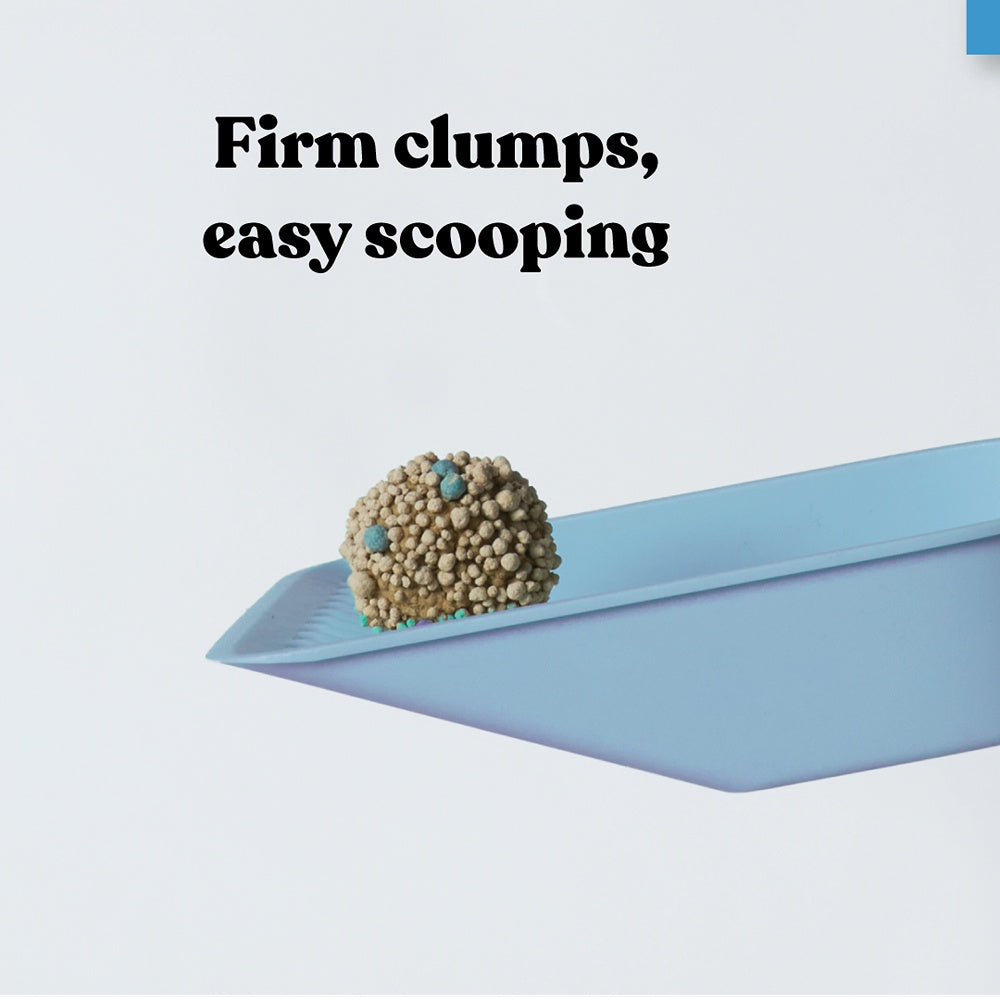 Squat Club Fast Clumping Lavender Scented Clay Cat Litter