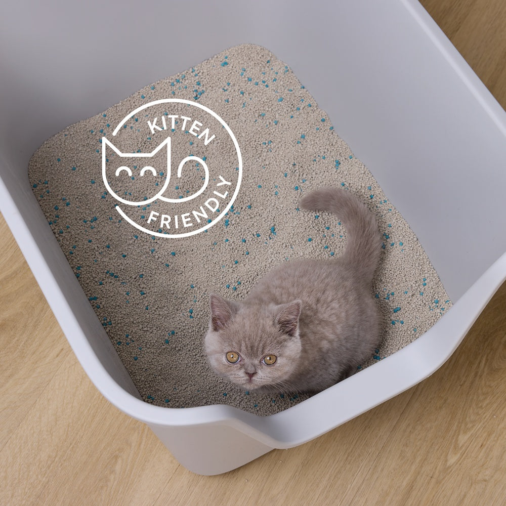 Squat Club Fast Clumping Lavender Scented Clay Cat Litter