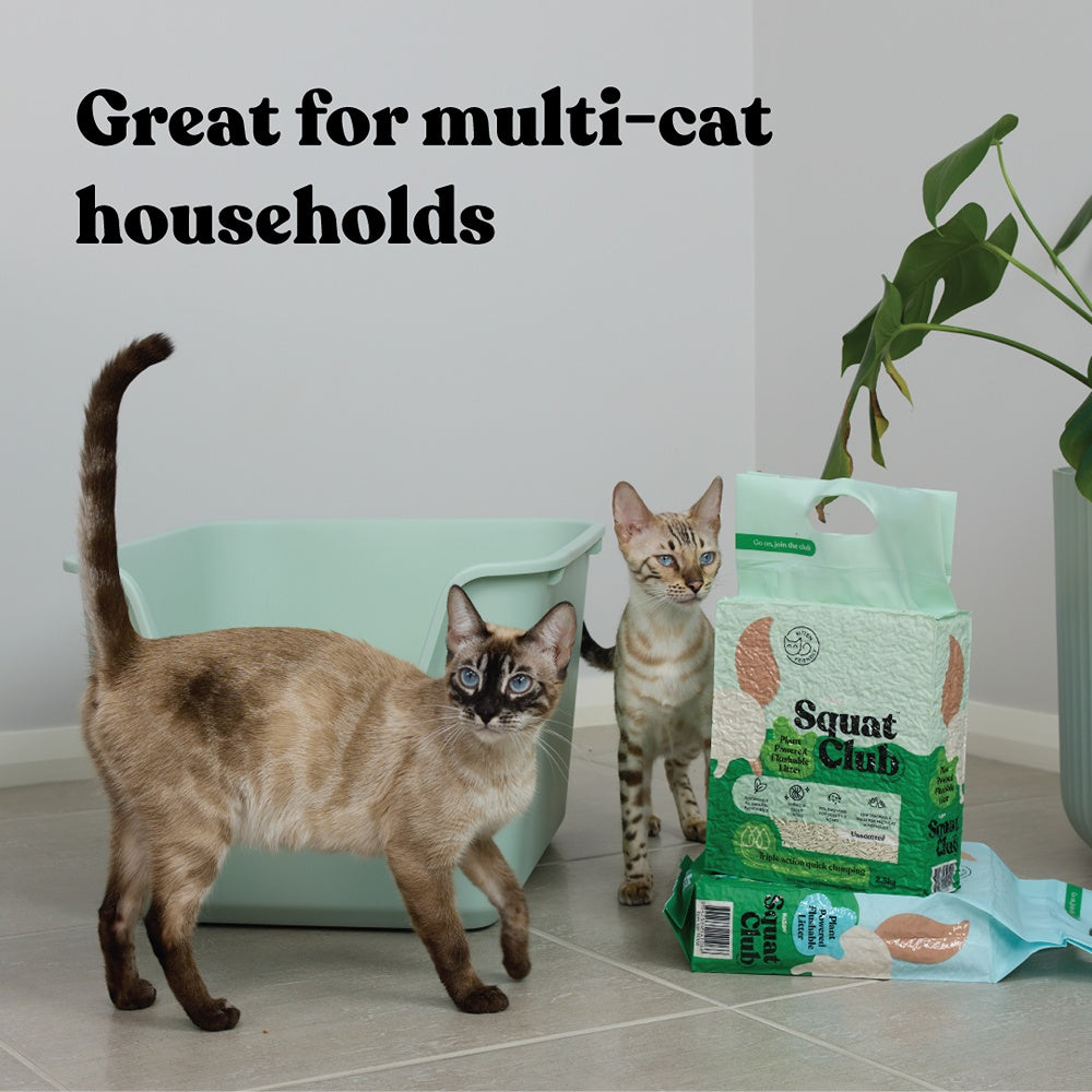 Squat Club Plant Powered Flushable Cat Litter