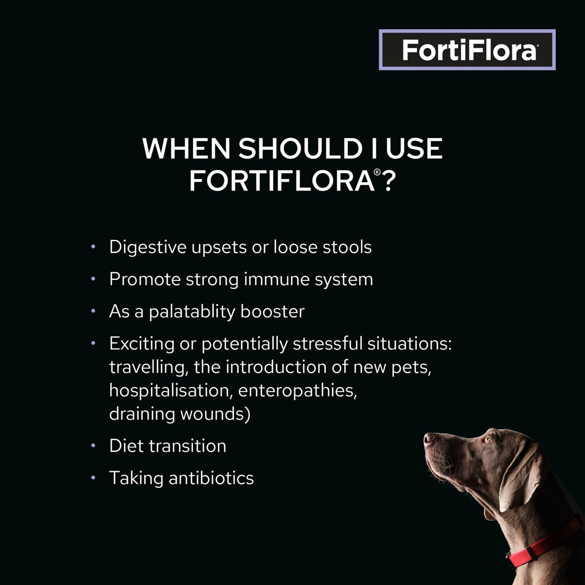 Pro Plan Vet Supplement FortiFlora Canine Probiotic