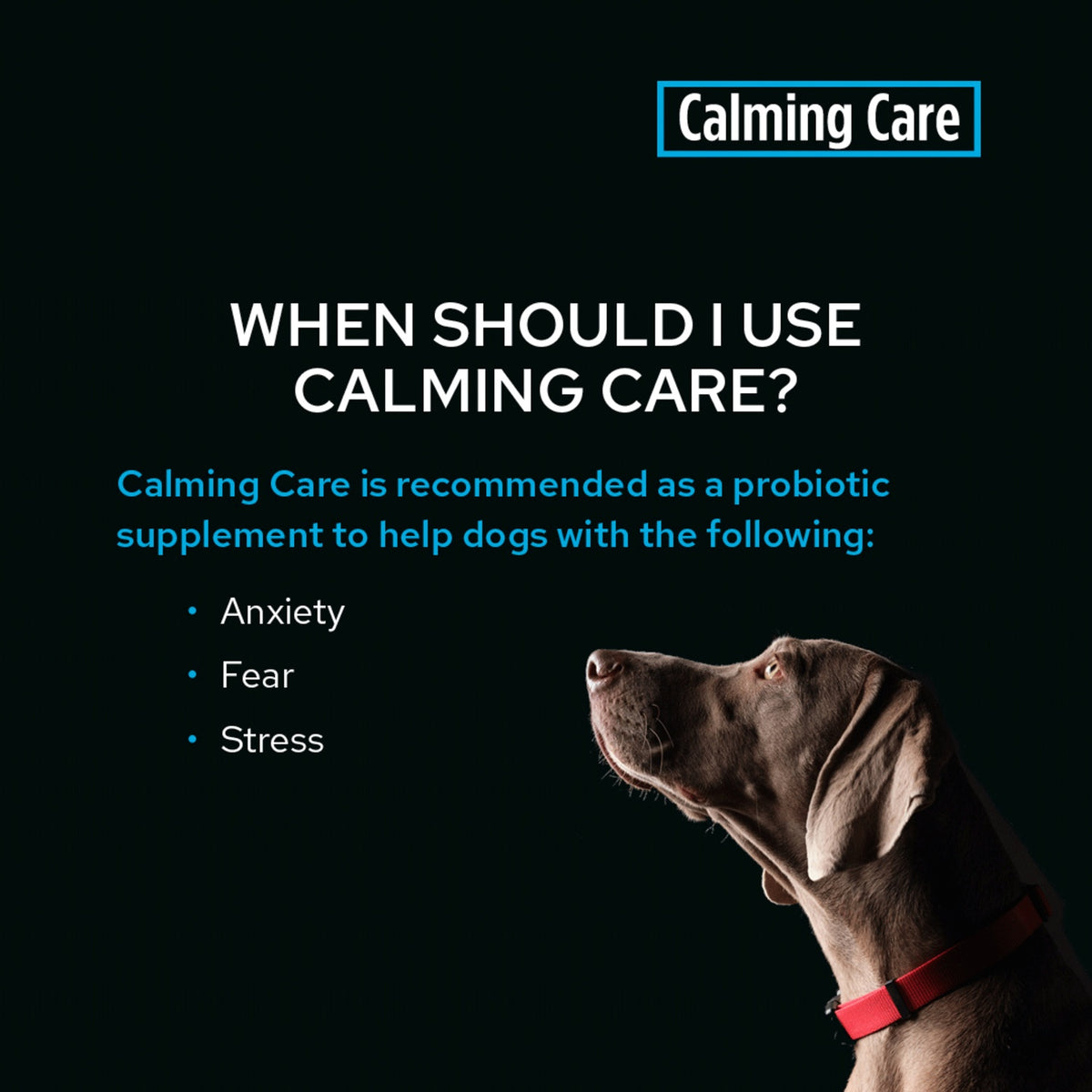 Pro Plan Vet Supplement Canine Calming Care