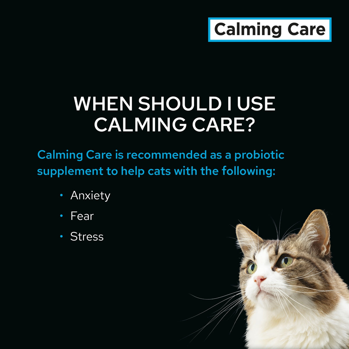 Pro Plan Vet Supplement Feline Calming Care