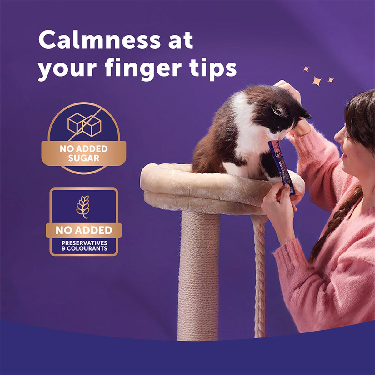 Feliway Happy Snack Calming Salmon Cat Treat