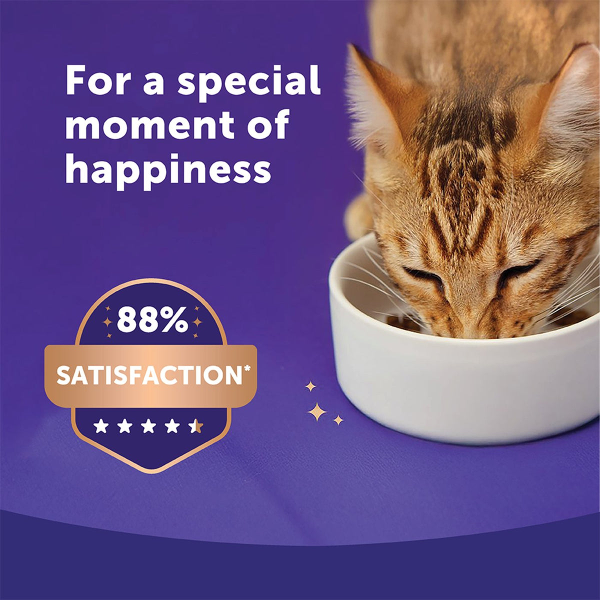 Feliway Happy Snack Calming Chicken Cat Treat