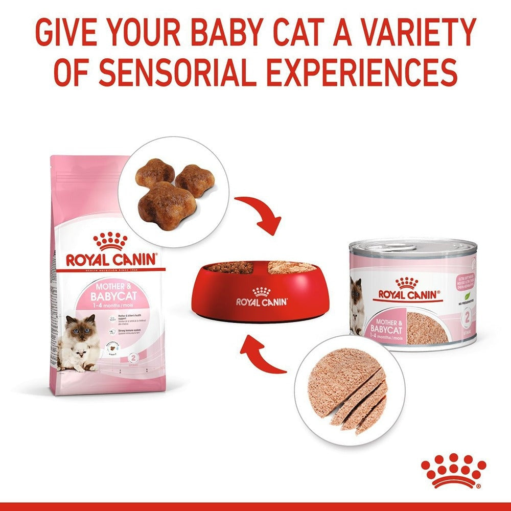 Royal Canin Mother & Babycat Kitten Wet Cat Food