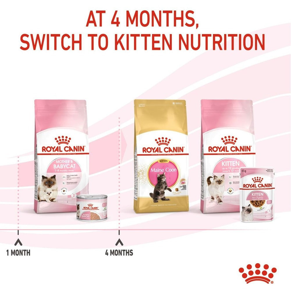 Royal Canin Mother & Babycat Kitten Wet Cat Food