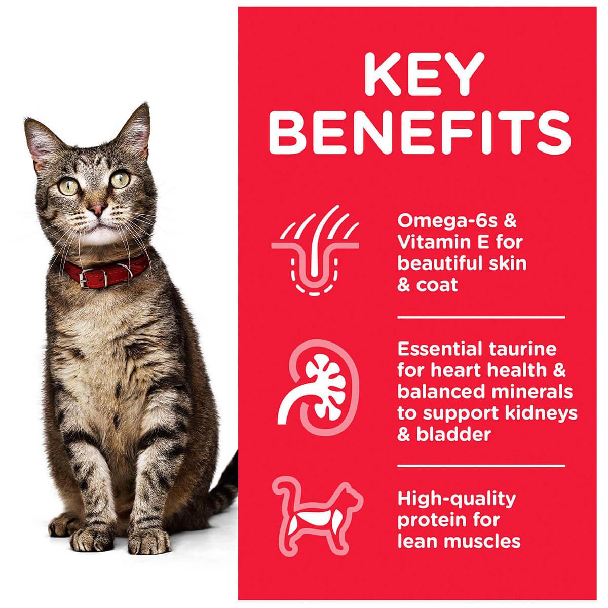 Hill's Science Diet Adult Ocean Fish Pouches Wet Cat Food 85g