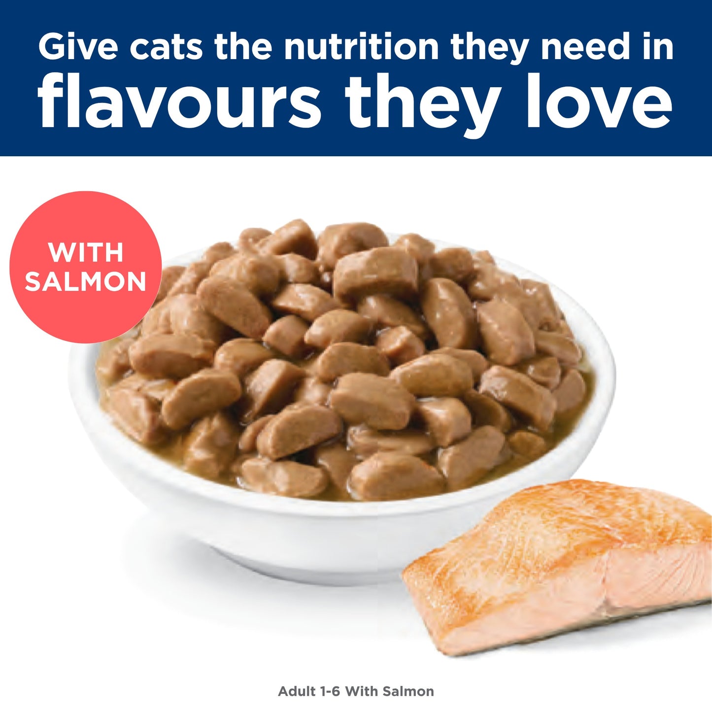 Hill's Science Diet Adult Ocean Fish Pouches Wet Cat Food 85g