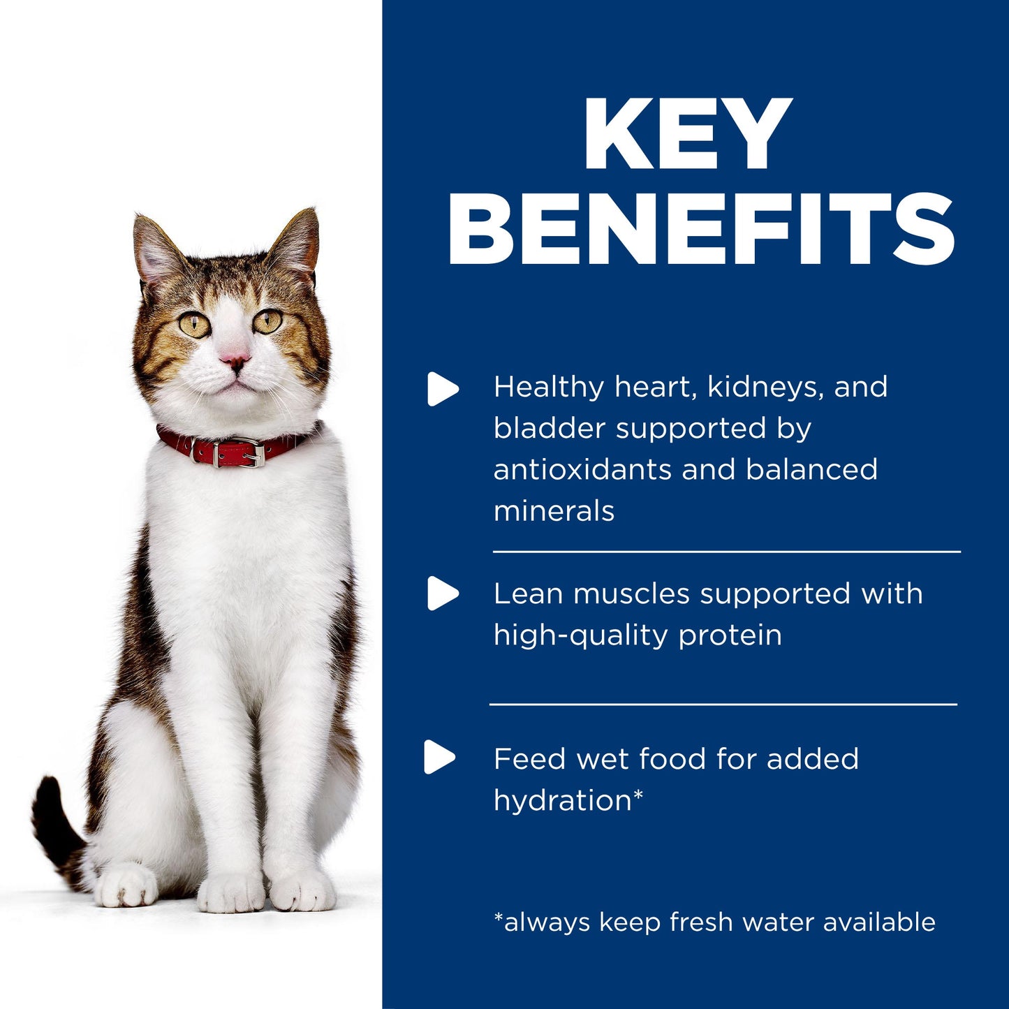Hill's Science Diet 7+ Adult Chicken Pouches Wet Cat Food 85g