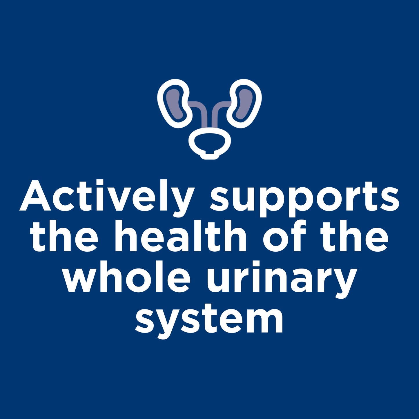 Hill's Science Diet Urinary Hairball Control Adult Ocean Fish Pouches Wet Cat Food 85g