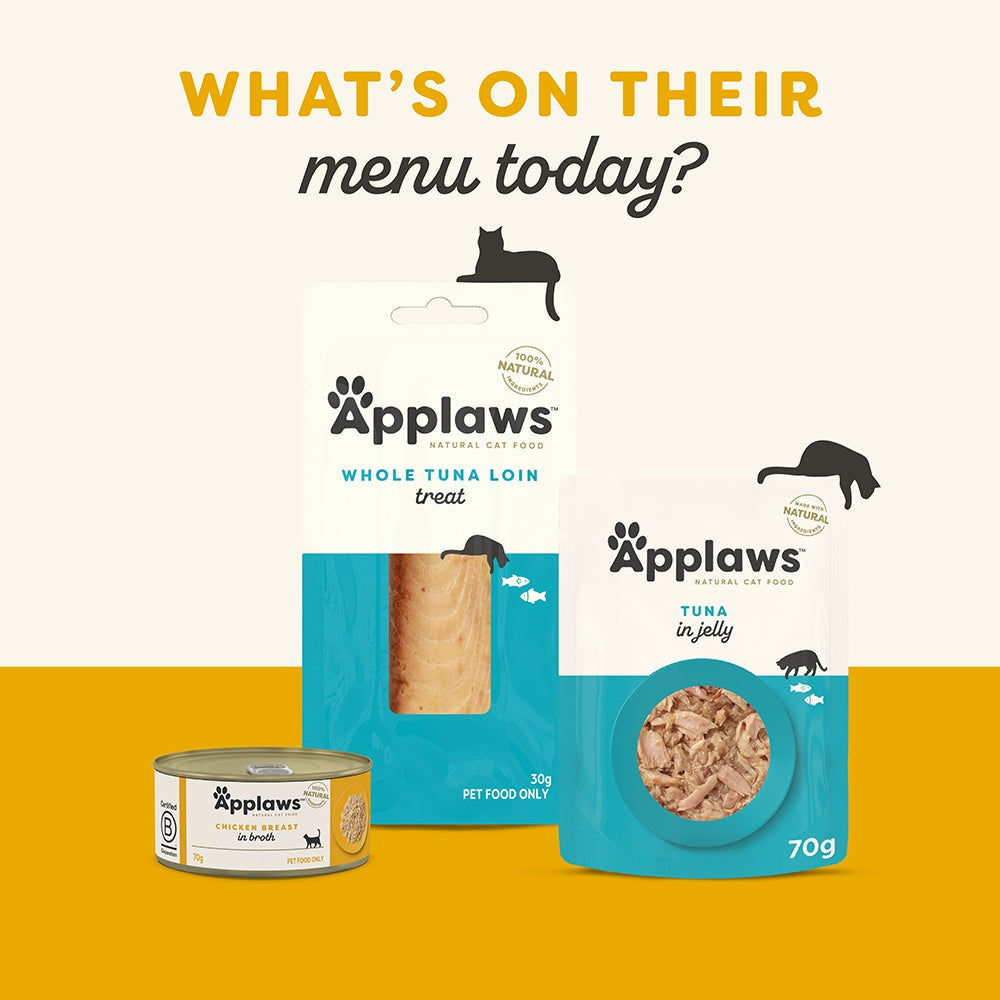 Applaws Chicken & Pumpkin Pouch Wet Cat Food