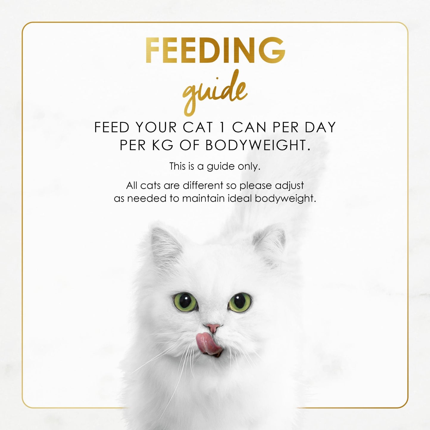 Fancy Feast Grilled Liver & Chicken Feast In Gravy Wet Cat Food