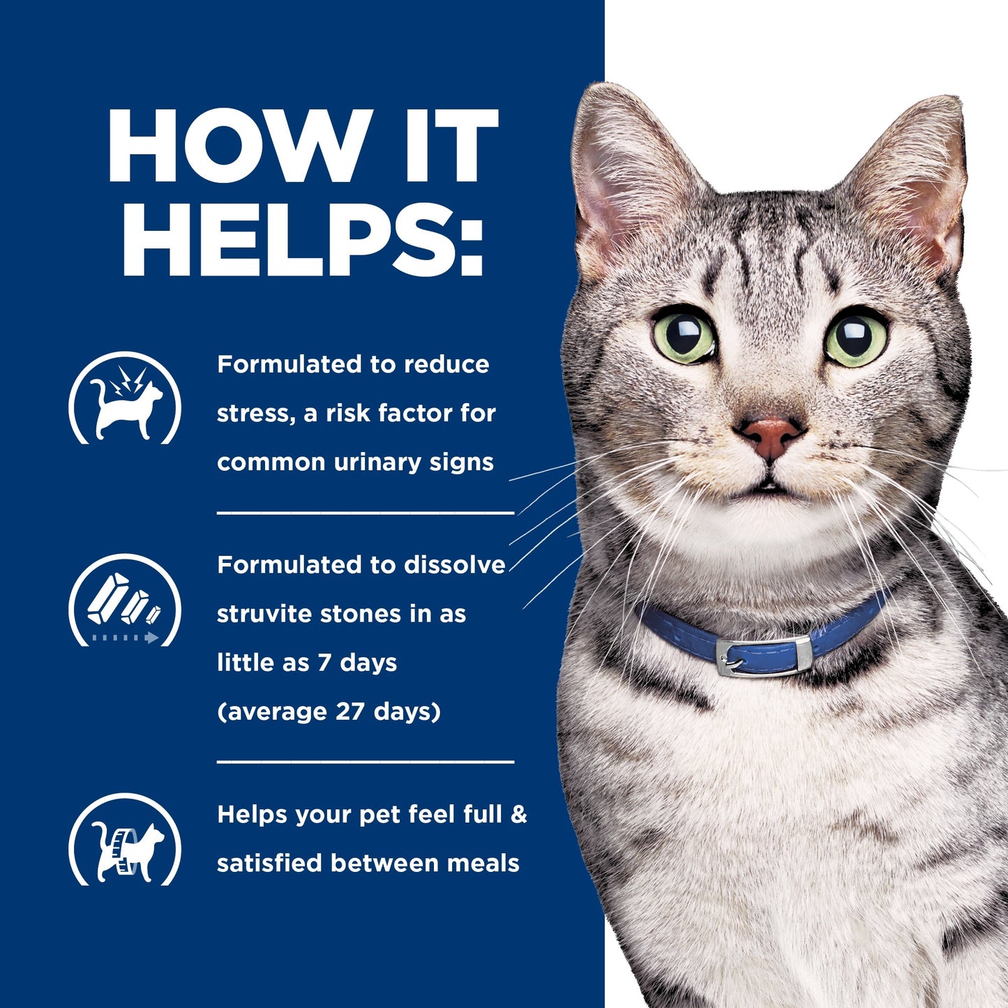 Hill's Prescription Diet C/D Stress Urinary & Metabolic Weight Care Chicken Wet Cat Food