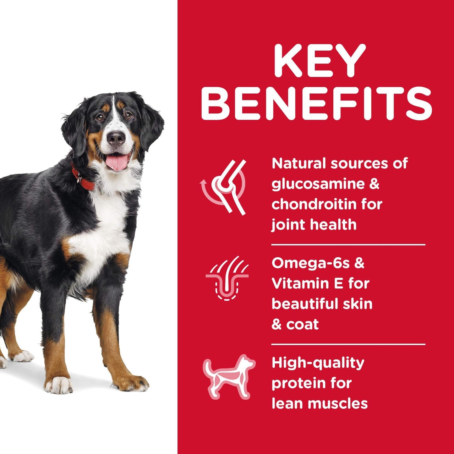 Hill's Science Diet Large Breed Adult Chicken Dry Dog Food