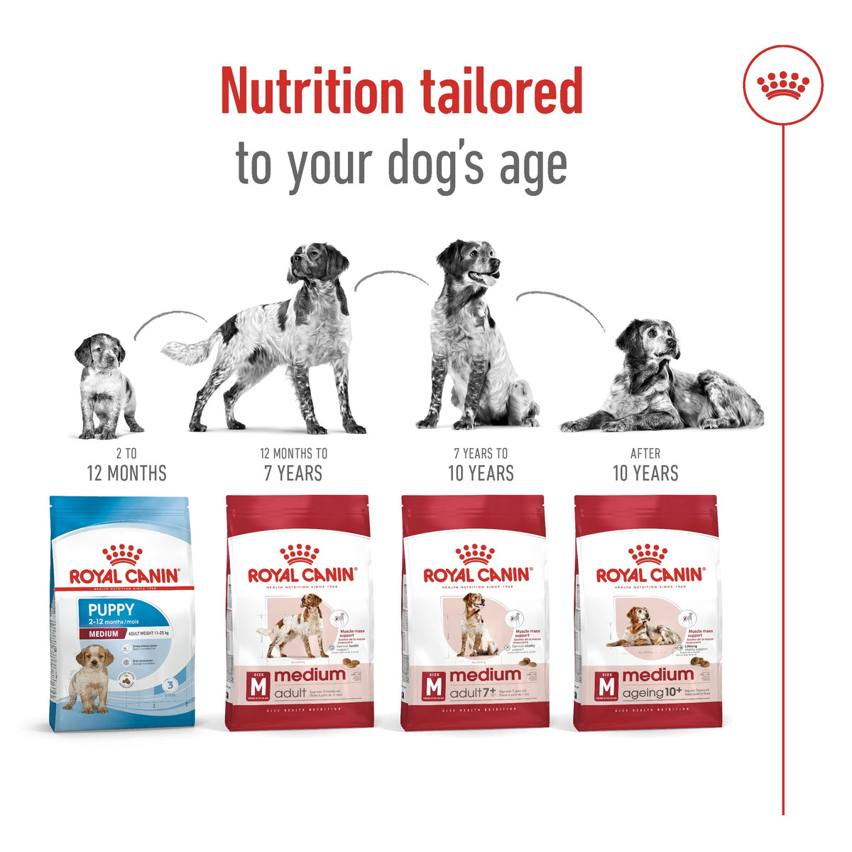 Royal Canin Medium Breed Adult Dry Dog Food