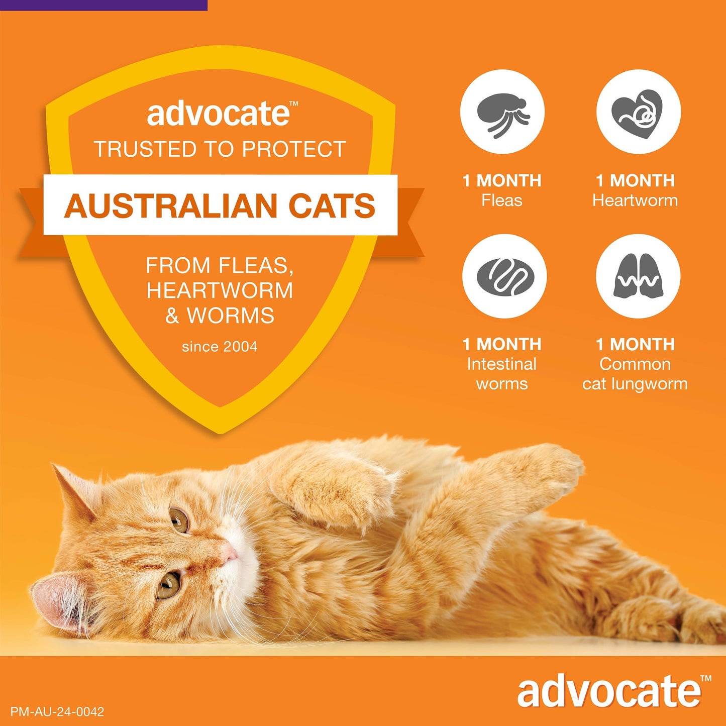 Hill's Science Diet Adult 6kg + Advocate 6 Pack Bundle For Cats