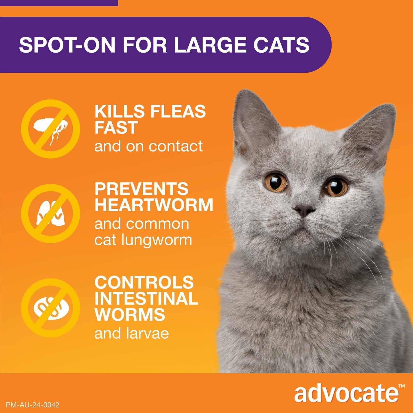 Hill's Science Diet Adult 6kg + Advocate 6 Pack Bundle For Cats