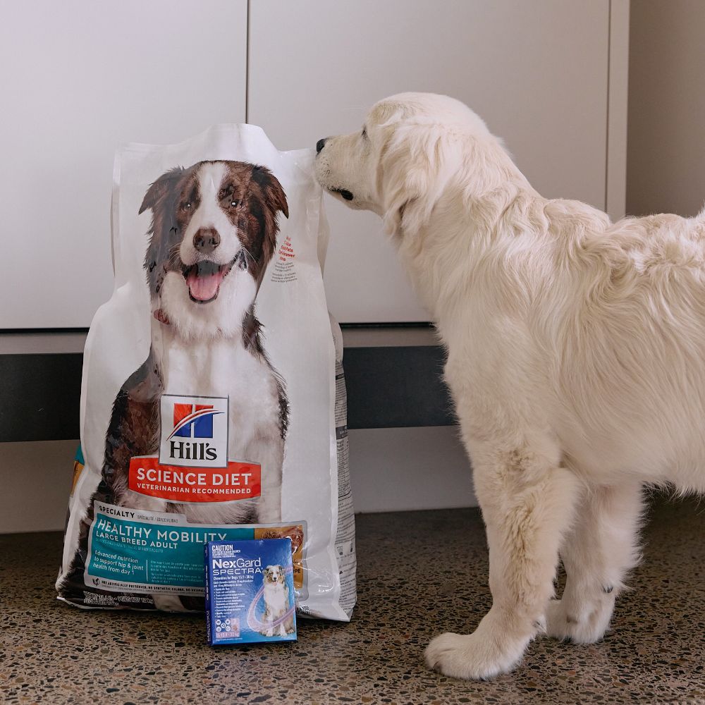 Hill's Science Diet Large Breed 12kg + Nexgard Spectra 3 Pack Bundle For Dogs
