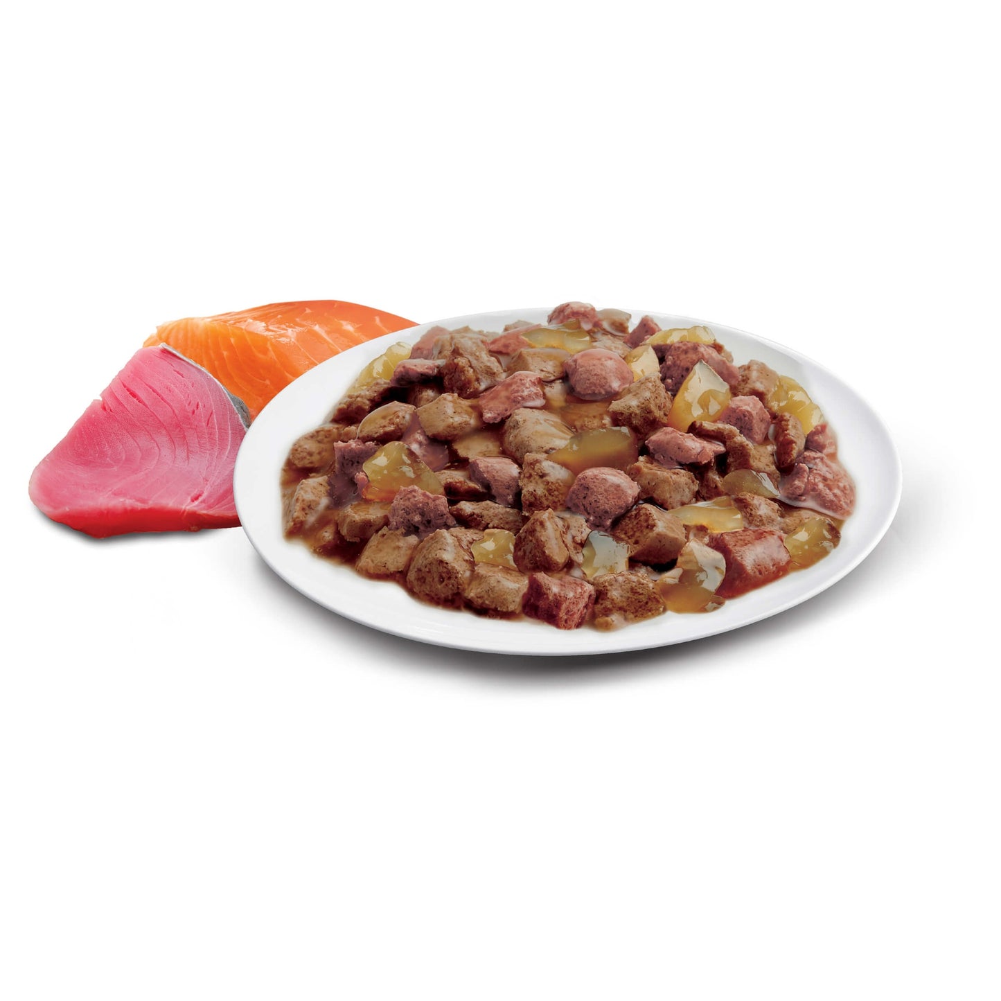 Advance Adult Ocean Fish in Jelly Wet Cat Food