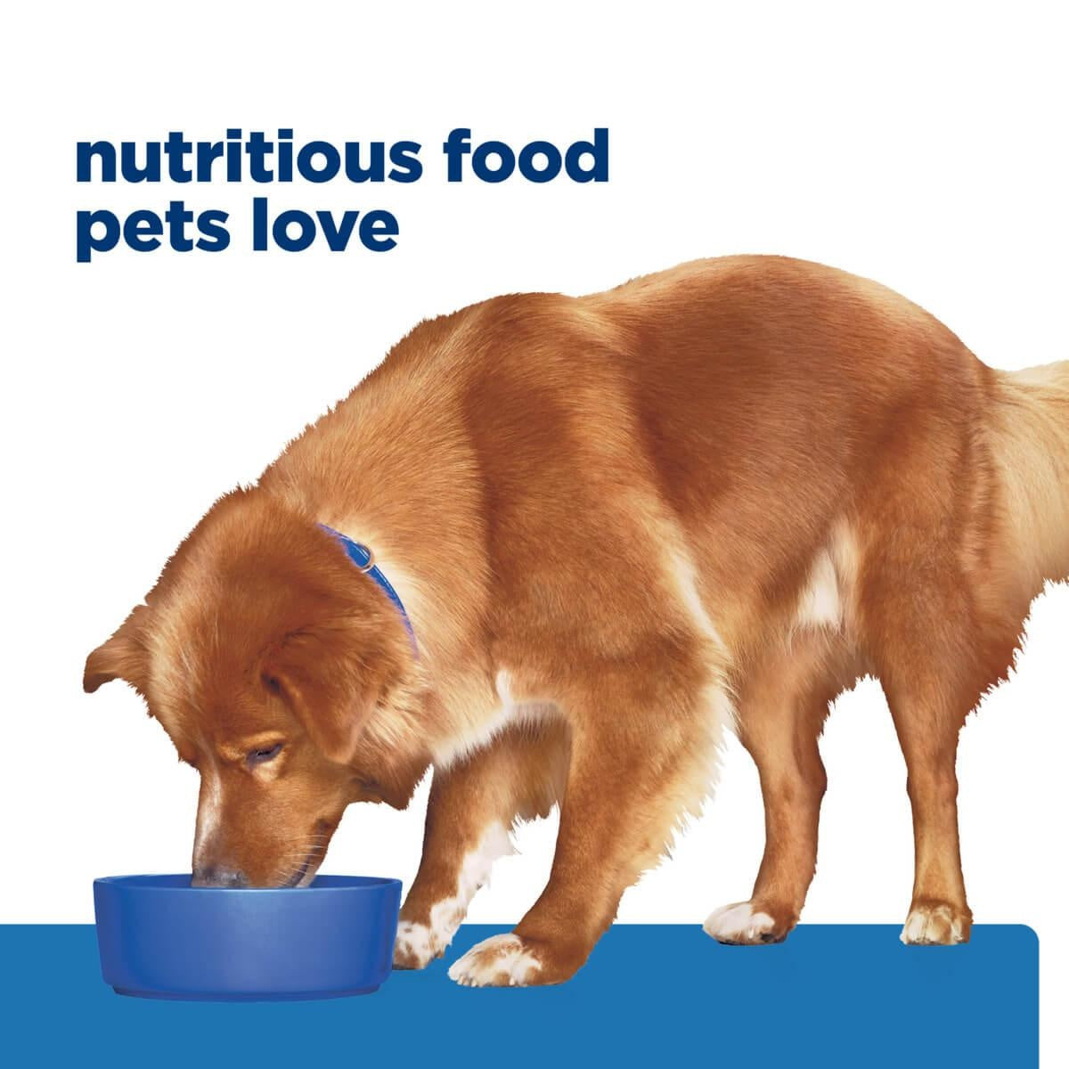 Hill's Prescription Diet Sensitive Derm Complete Wet Dog Food