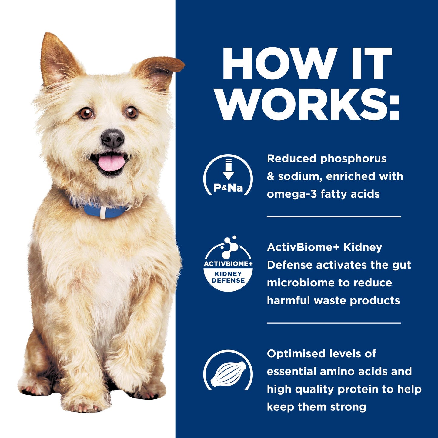 Hill's Prescription Diet K/D Kidney Care Wet Dog Food