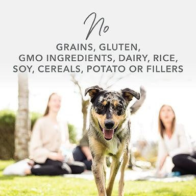K9 Natural Lamb & Salmon Feast Wet Dog Food