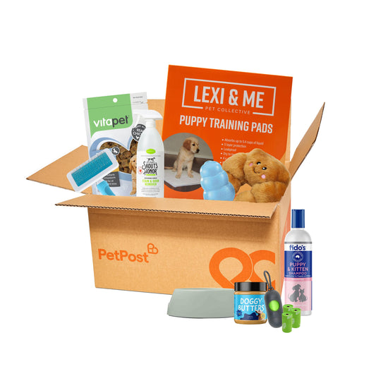 Puppy Essentials Bundle