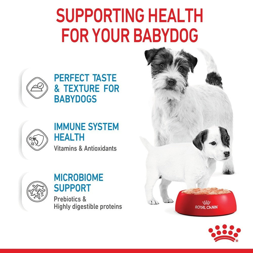 Royal Canin Mother and Babydog Mousse Canned Wet Dog Food