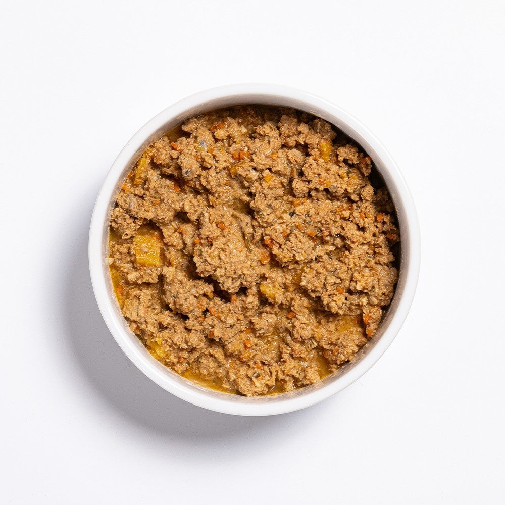 Prime100 SPD Slow Cooked Salmon & Pumpkin Wet Dog Food