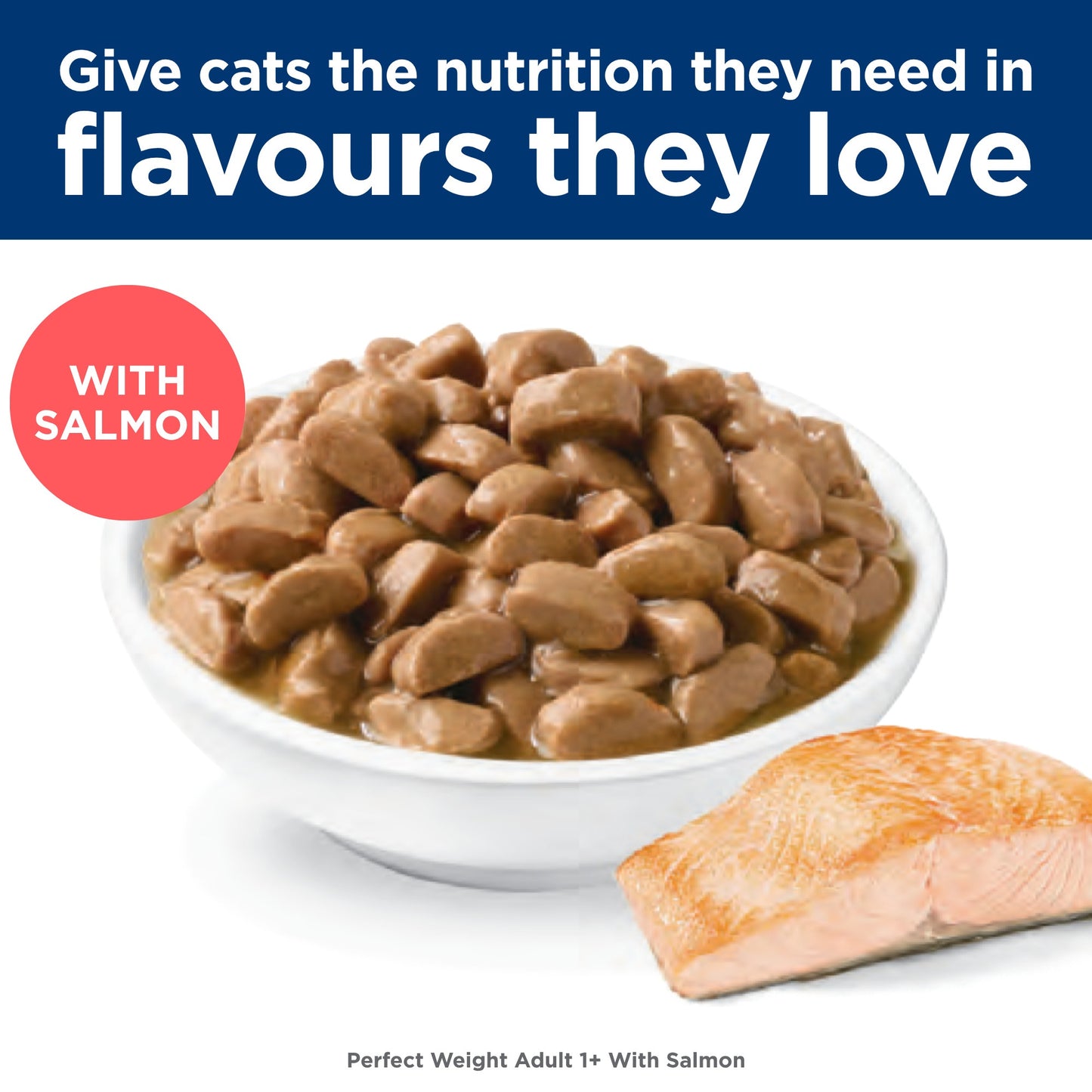Hill's Science Diet Perfect Weight Adult Salmon Wet Food 85g