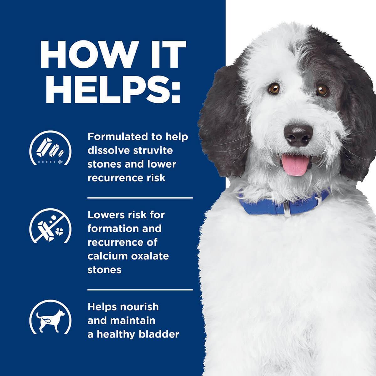 Hill's Prescription Diet C/D Urinary Care Chicken Wet & Dry Dog Food Bundle