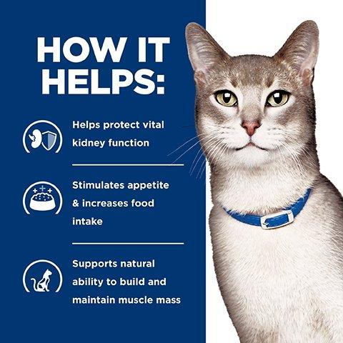 Hill's Prescription Diet K/D Kidney Care Wet & Dry Cat Food Bundle