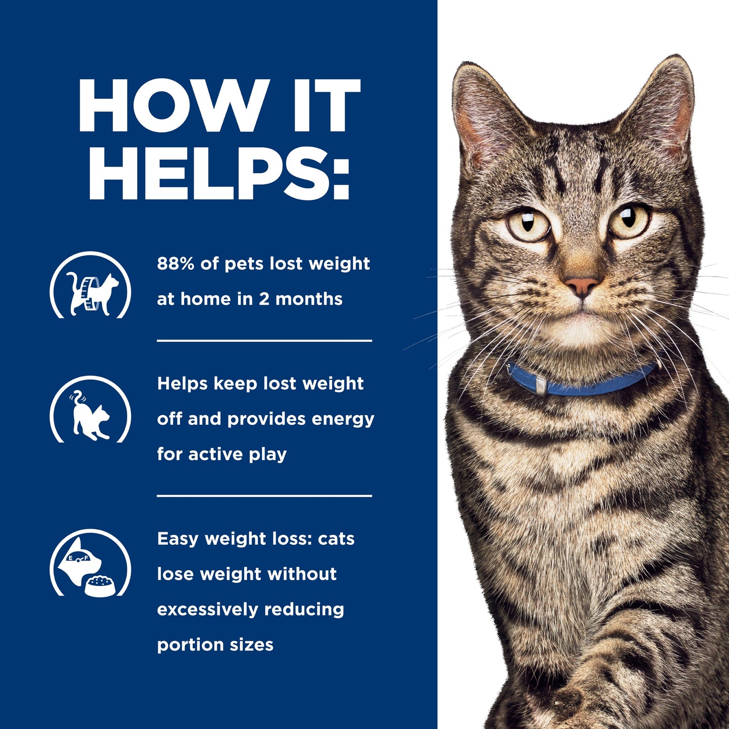 Hill's Prescription Diet Metabolic Weight Management Wet & Dry Cat Food Bundle