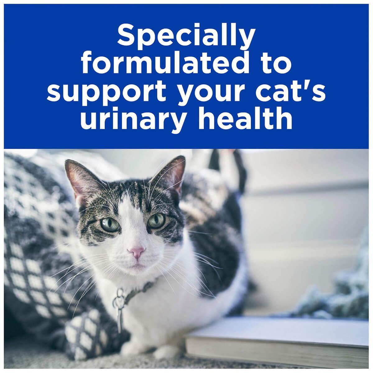 Hill's Prescription Diet C/D Urinary Care Chicken & Salmon Wet Cat Food Bundle