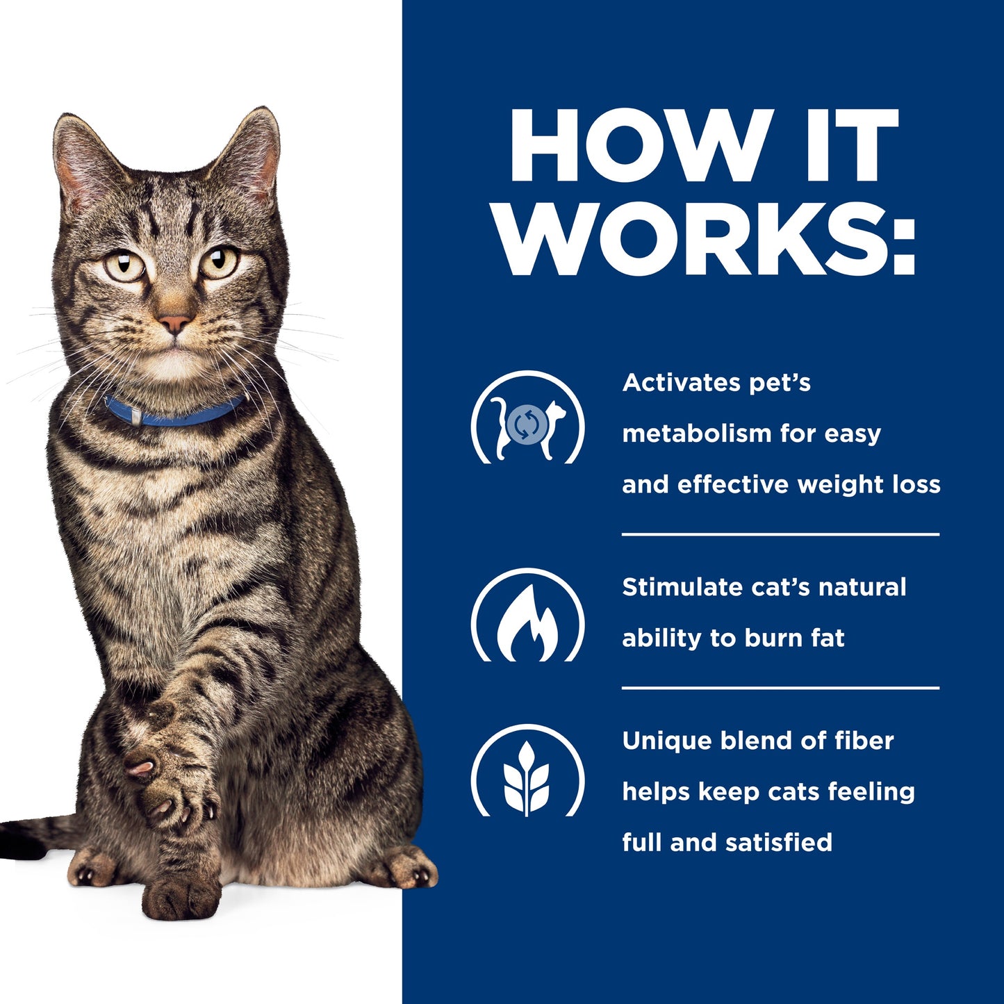 Hill's Prescription Diet Metabolic Weight Management Wet & Dry Cat Food Bundle