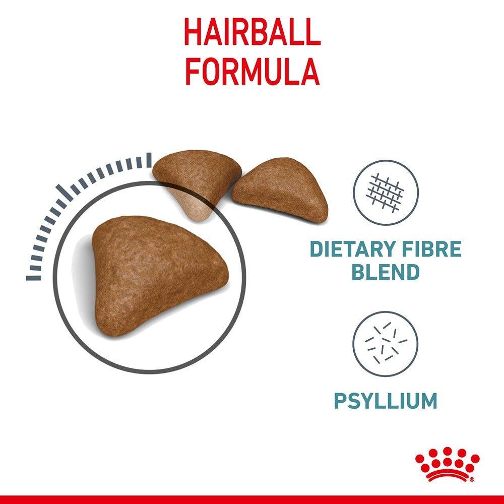 Royal Canin Hairball Care Adult Dry & Wet Cat Food Bundle