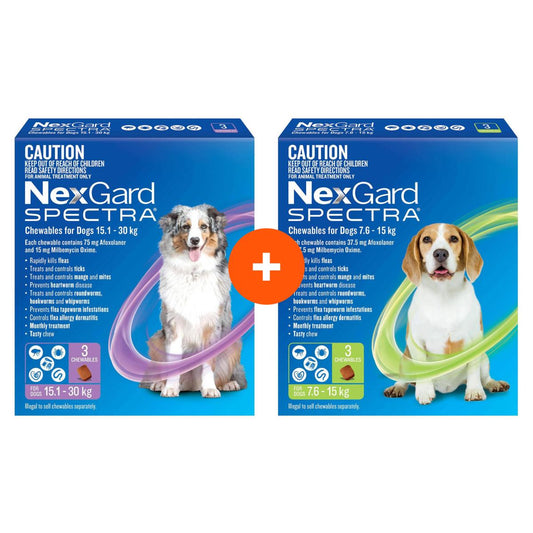 NexGard Spectra Chews For Medium & Large Dogs Bundle