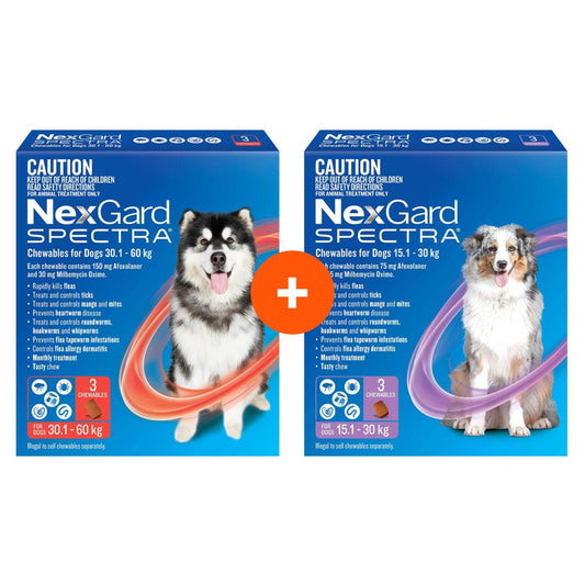 NexGard Spectra Chews For Large & Very Large Dogs Bundle