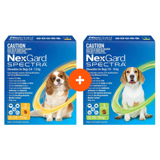 NexGard Spectra Chews For Small & Medium Dogs Bundle