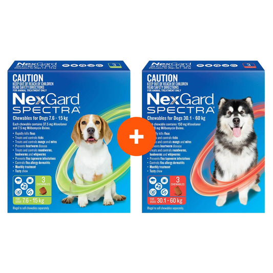 NexGard Spectra Chews For Medium & Very Large Dogs Bundle