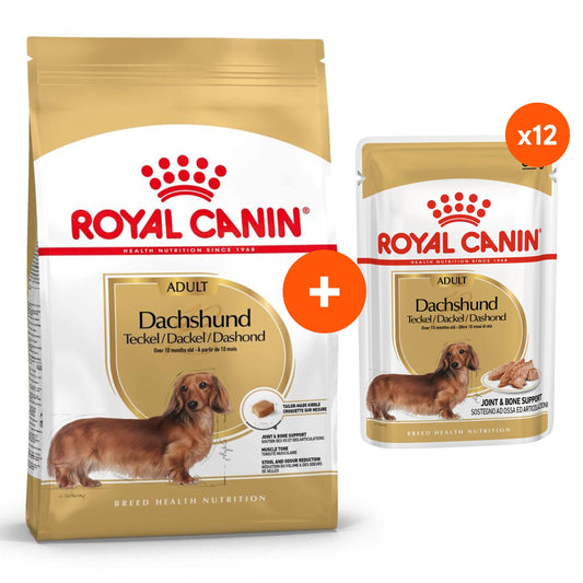 Royal Canin Dachshund Adult Dry & Wet Dog Food Bundle