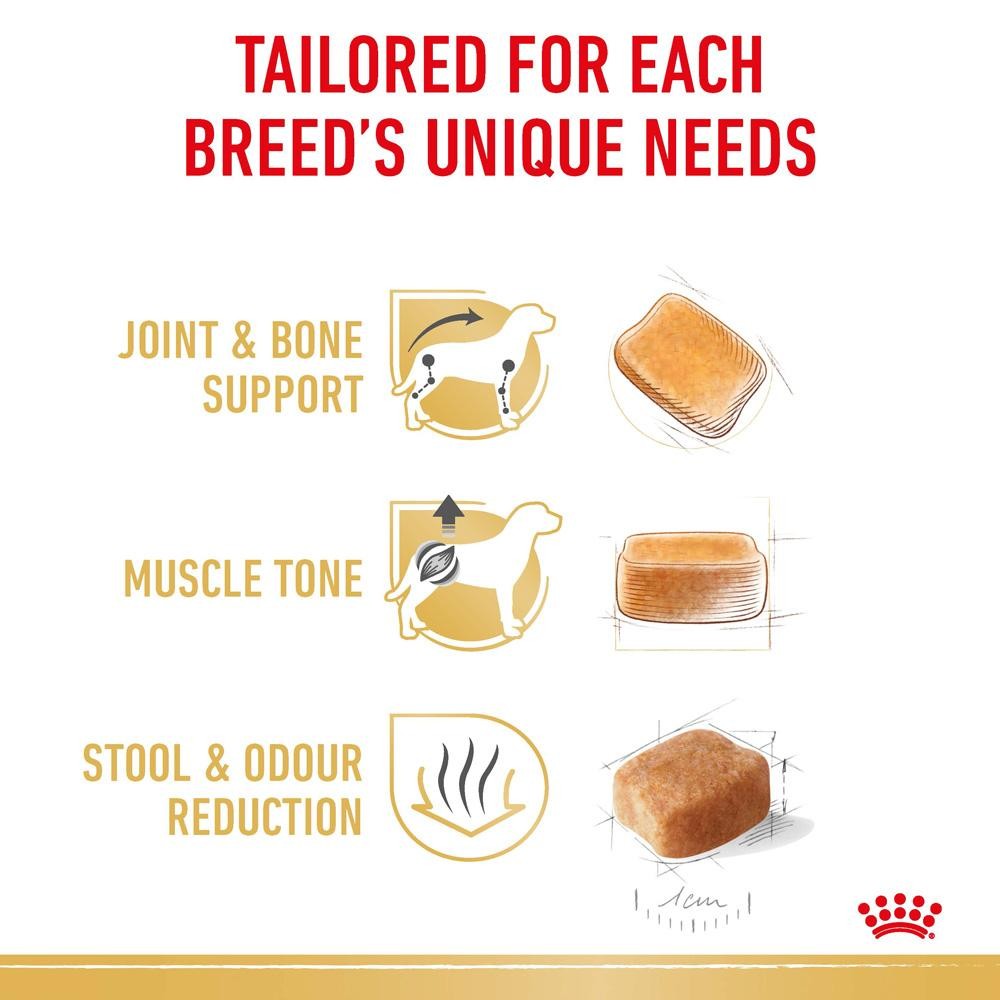 Royal Canin Dachshund Adult Dry & Wet Dog Food Bundle