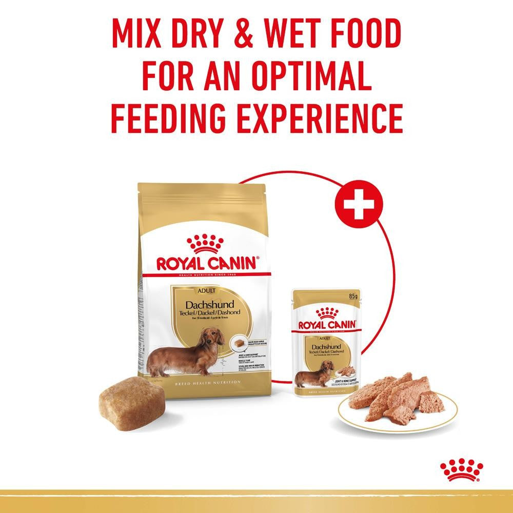 Royal Canin Dachshund Adult Dry & Wet Dog Food Bundle